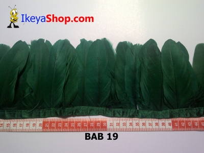Bulu angsa BAB 19   feather  large2
